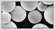 Thermo-expandable microcapsule; microbeads